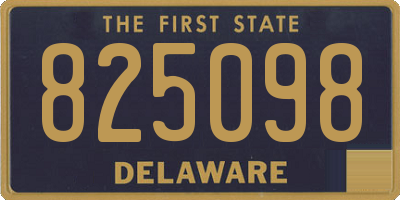 DE license plate 825098