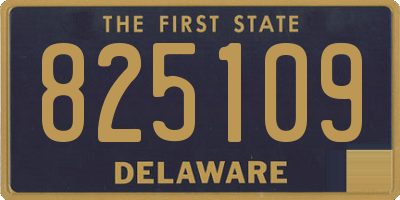 DE license plate 825109