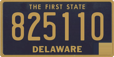 DE license plate 825110