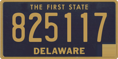 DE license plate 825117