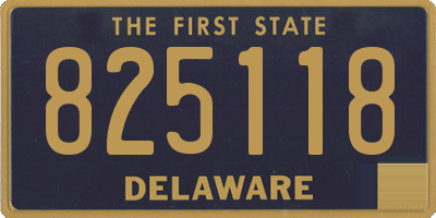 DE license plate 825118