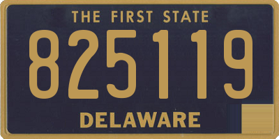 DE license plate 825119
