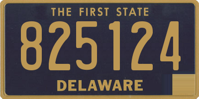 DE license plate 825124