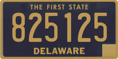 DE license plate 825125