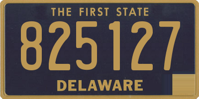 DE license plate 825127