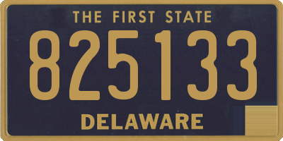 DE license plate 825133