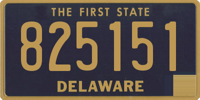 DE license plate 825151