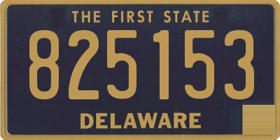 DE license plate 825153