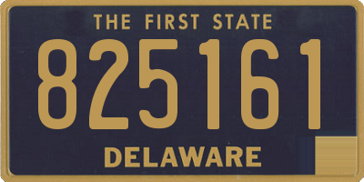 DE license plate 825161
