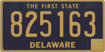 DE license plate 825163