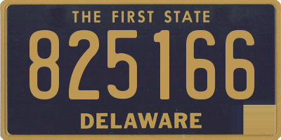 DE license plate 825166