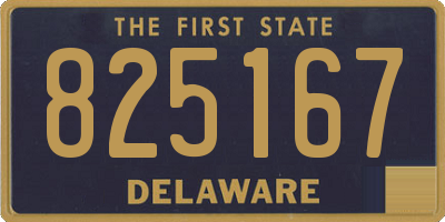 DE license plate 825167