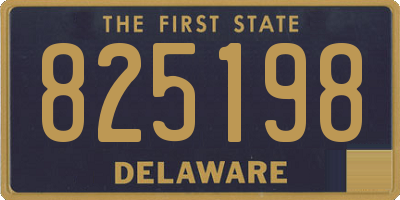DE license plate 825198