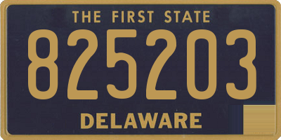 DE license plate 825203