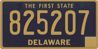 DE license plate 825207
