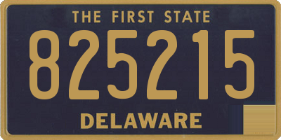 DE license plate 825215
