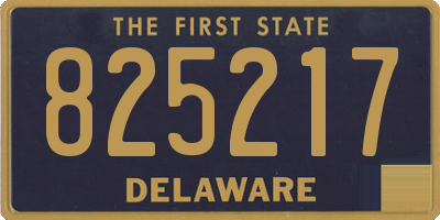 DE license plate 825217