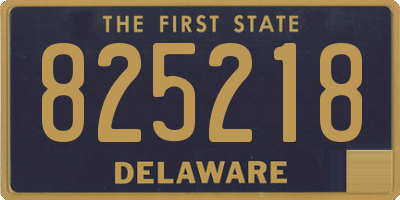 DE license plate 825218