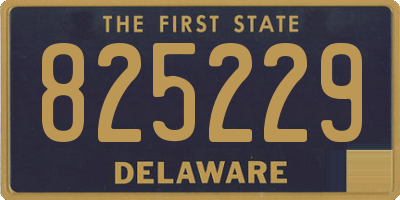 DE license plate 825229