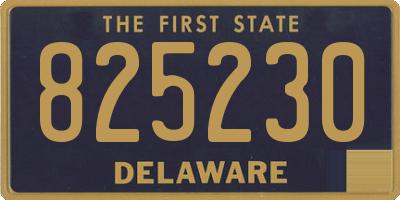 DE license plate 825230