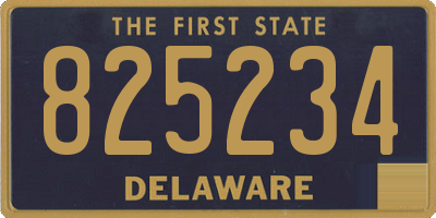 DE license plate 825234