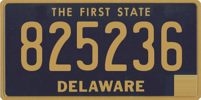 DE license plate 825236