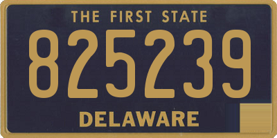 DE license plate 825239