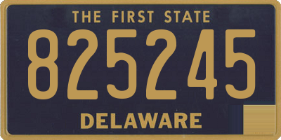 DE license plate 825245