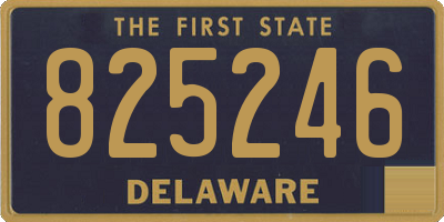 DE license plate 825246