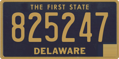 DE license plate 825247