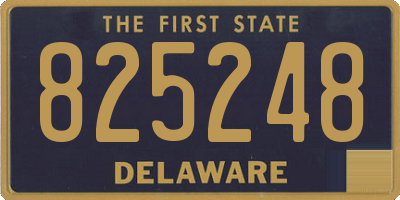 DE license plate 825248
