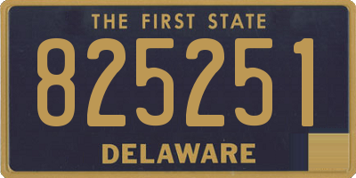 DE license plate 825251