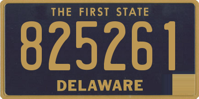 DE license plate 825261