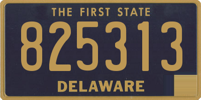 DE license plate 825313