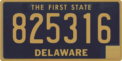 DE license plate 825316