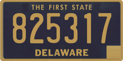 DE license plate 825317