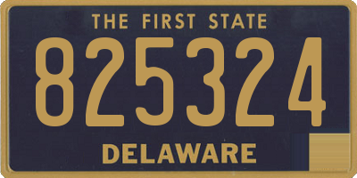 DE license plate 825324