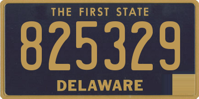 DE license plate 825329