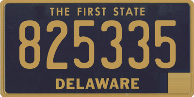 DE license plate 825335