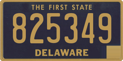 DE license plate 825349