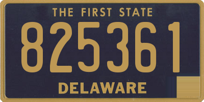 DE license plate 825361