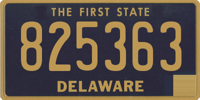 DE license plate 825363