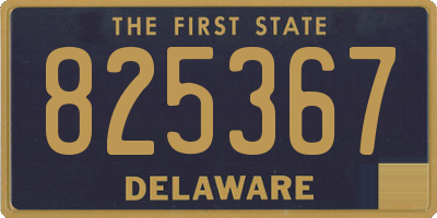 DE license plate 825367