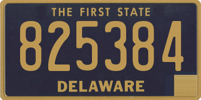 DE license plate 825384