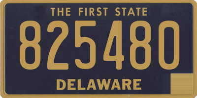 DE license plate 825480