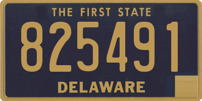 DE license plate 825491
