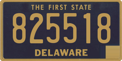DE license plate 825518