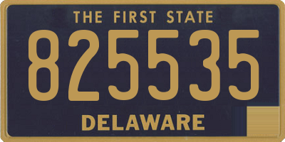 DE license plate 825535