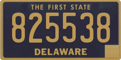 DE license plate 825538