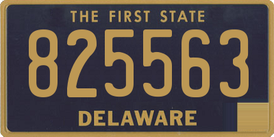 DE license plate 825563